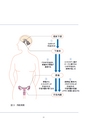 Health Management for Female Athletes